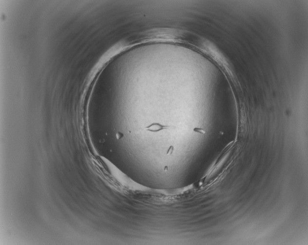 X0000067521435200604101315