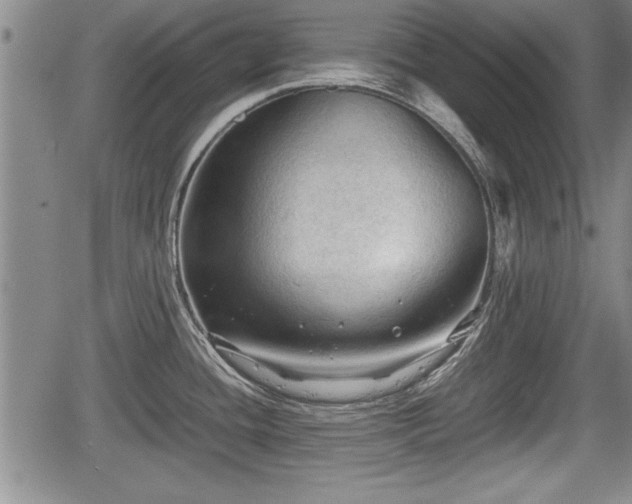 X0000067521436200604101315