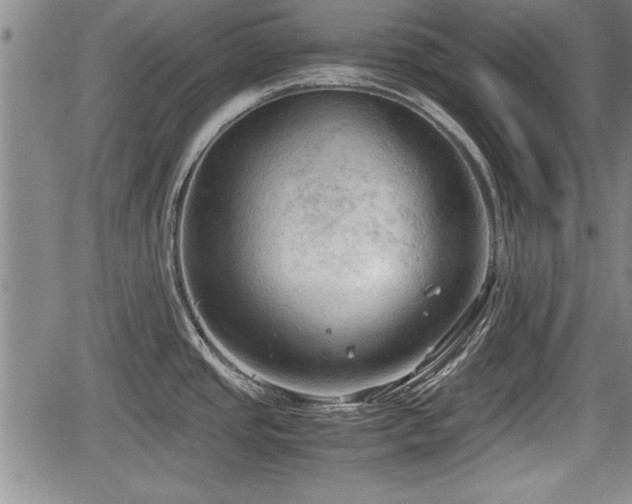 X0000067521437200604101315