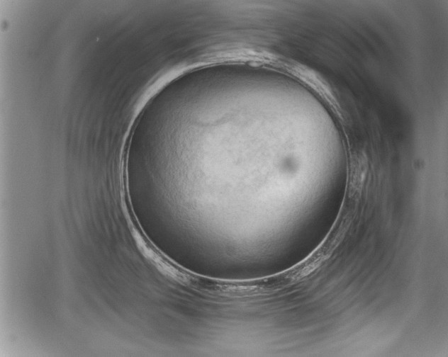 X0000067521439200604101315