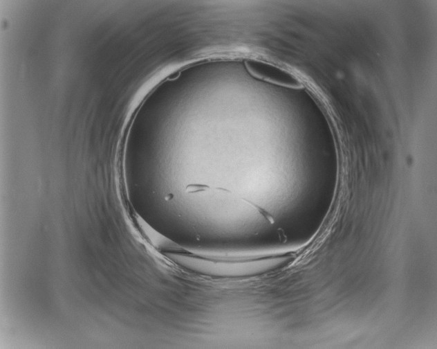 X0000067521440200604101315