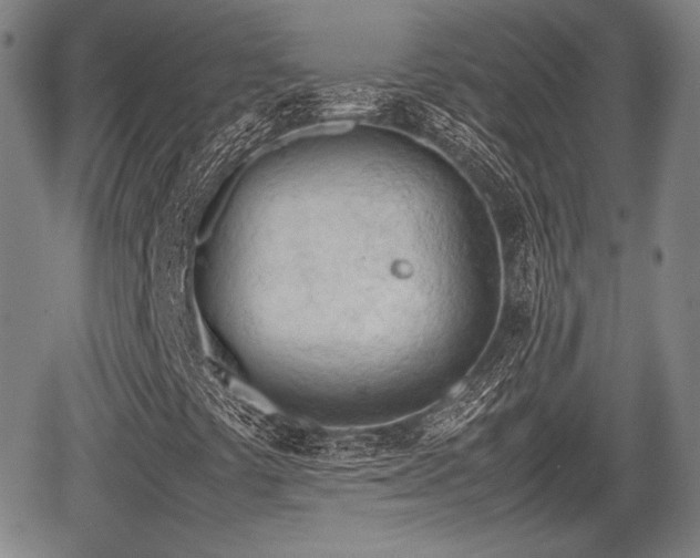 X0000067521441200604101314