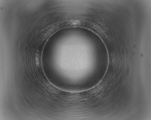 X0000067521442200604101314