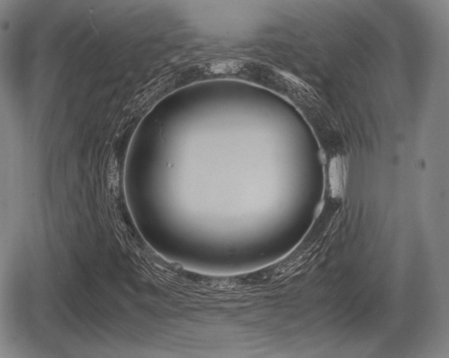 X0000067521443200604101314