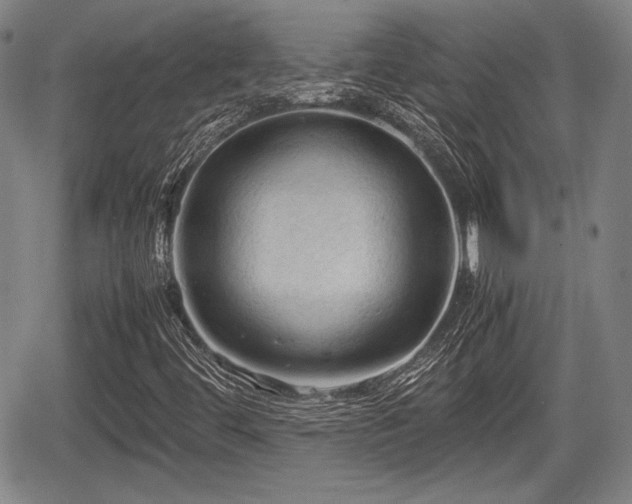 X0000067521444200604101314