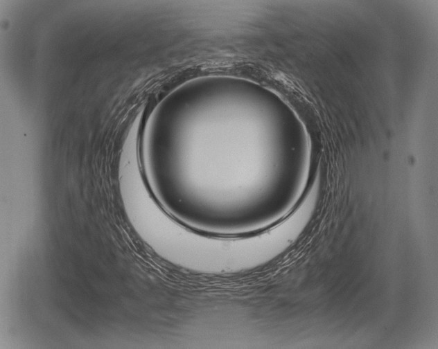 X0000067521445200604101314