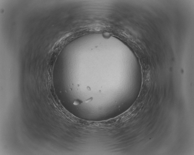 X0000067521446200604101314