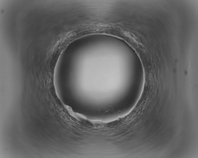 X0000067521447200604101314