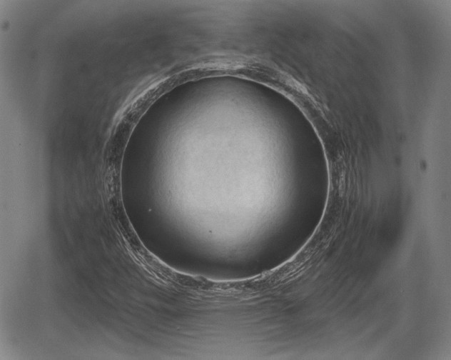 X0000067521448200604101314