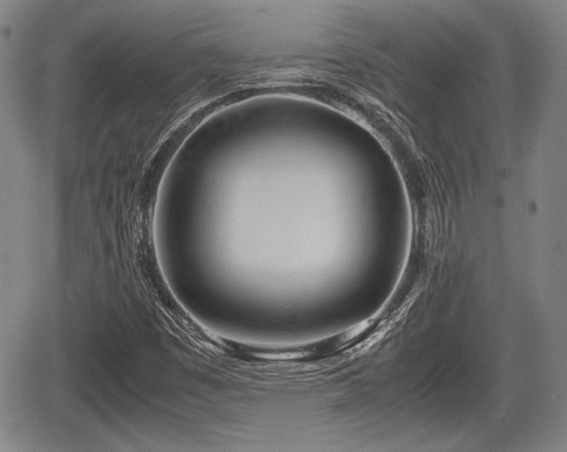 X0000067521449200604101314