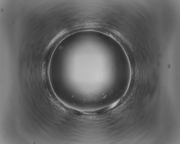 X0000067521450200604101314