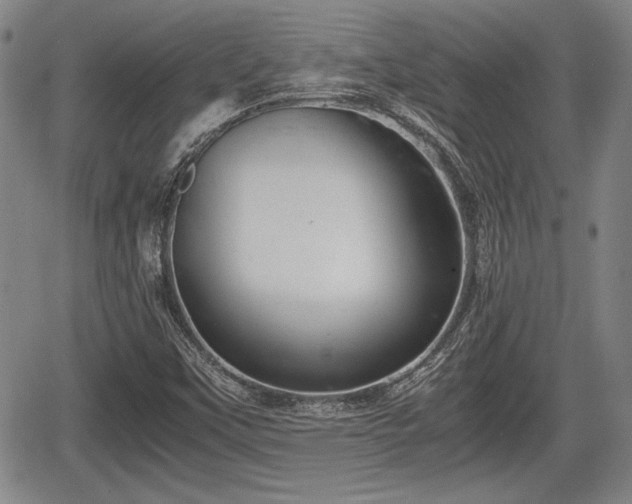 X0000067521451200604101314