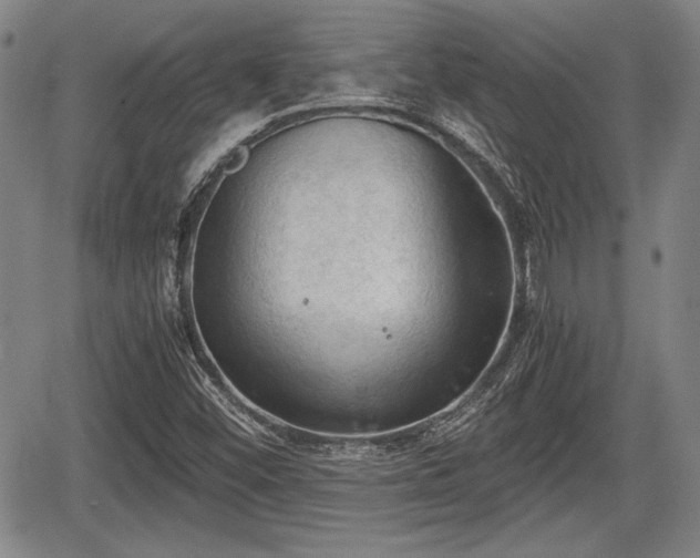 X0000067521452200604101314