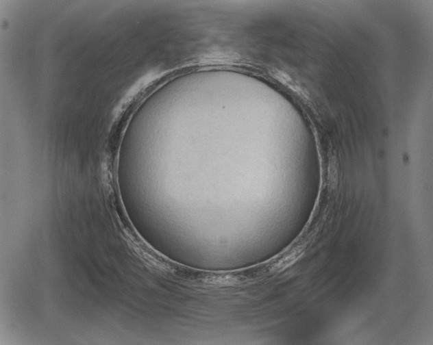 X0000067521454200604101314