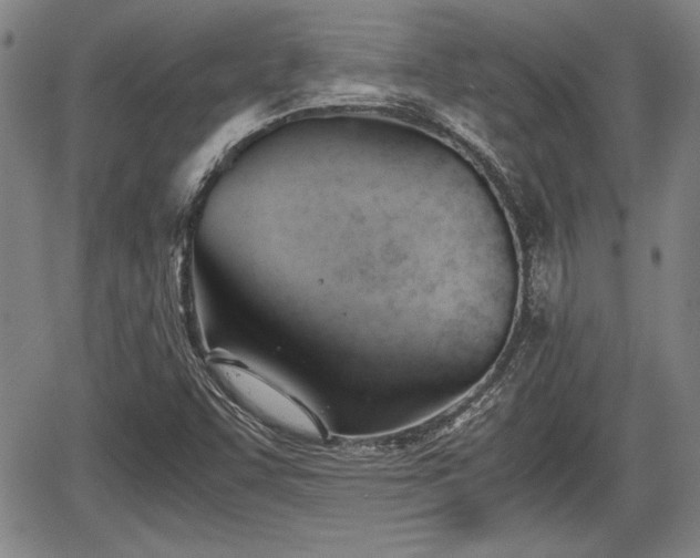 X0000067521455200604101314