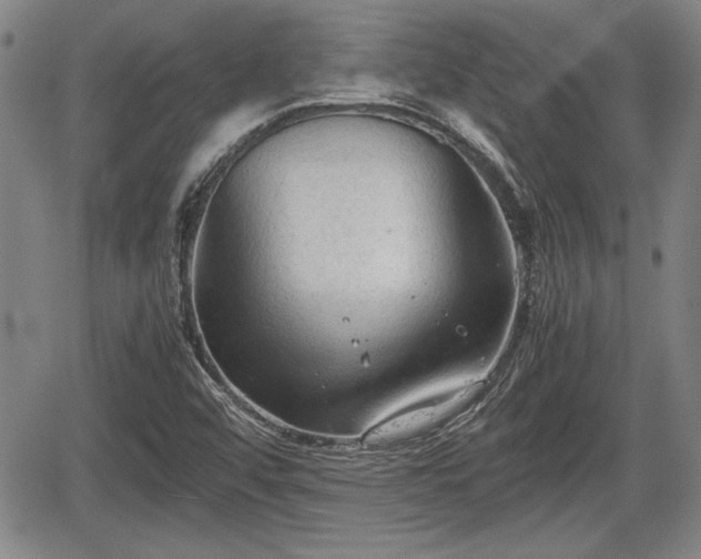 X0000067521456200604101314