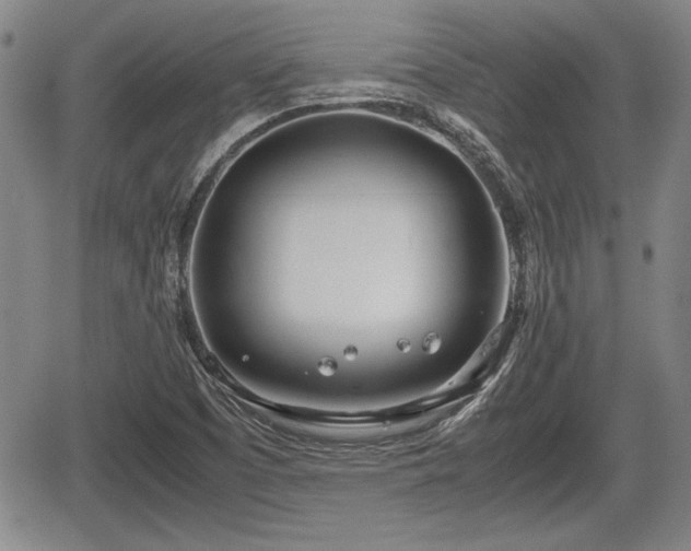 X0000067521457200604101314