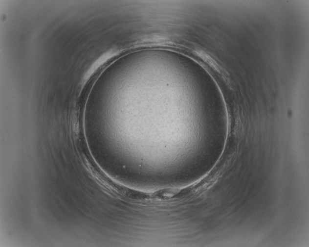 X0000067521458200604101314