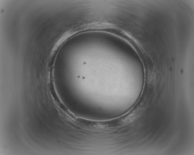 X0000067521459200604101314