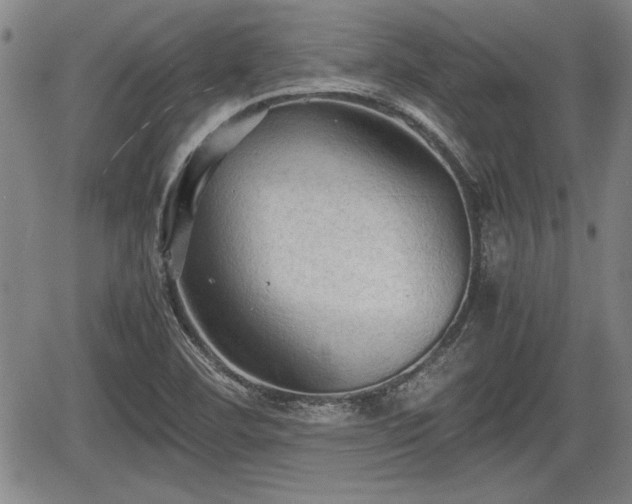 X0000067521460200604101314