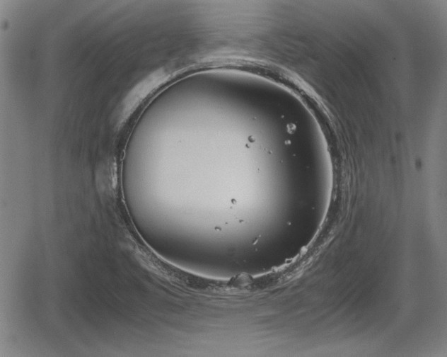 X0000067521461200604101314