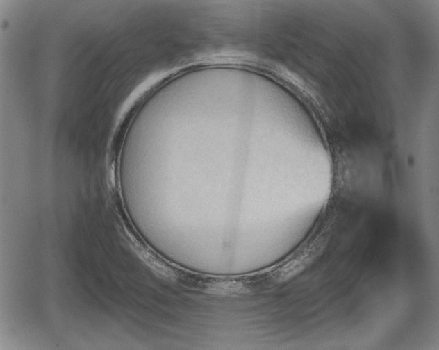 X0000067521462200604101314