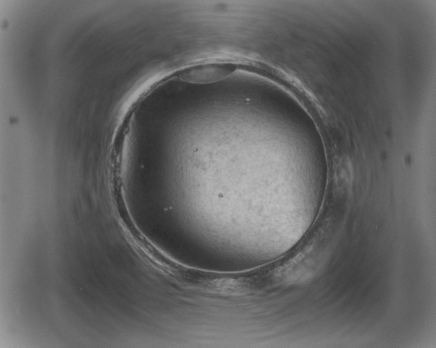 X0000067521463200604101314