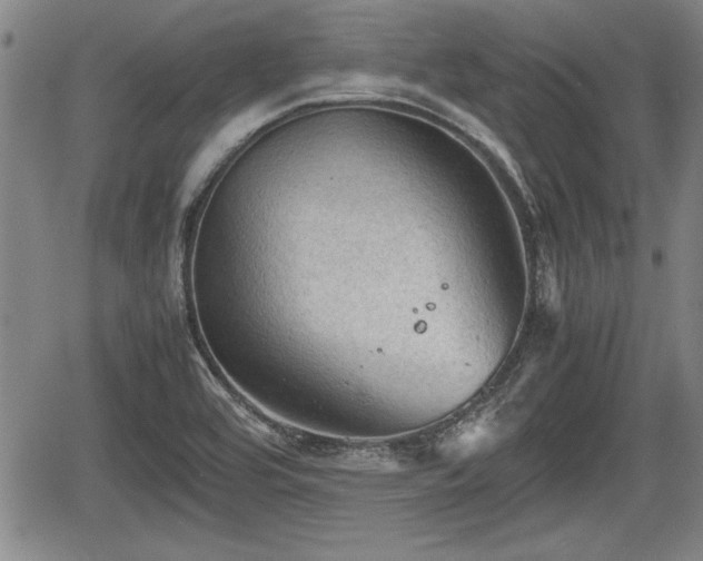 X0000067521464200604101314