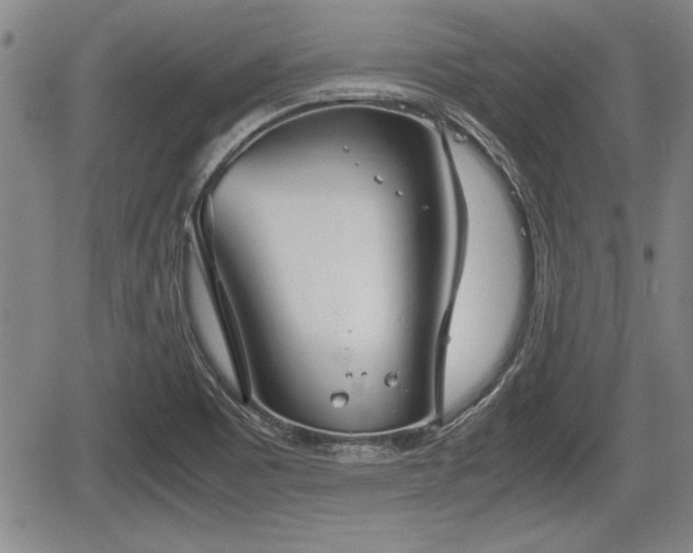 X0000067521465200604101314