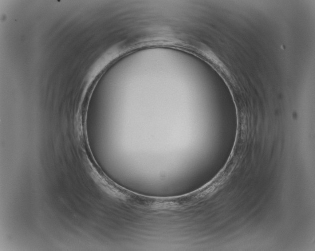 X0000067521466200604101314