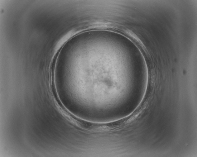 X0000067521467200604101314