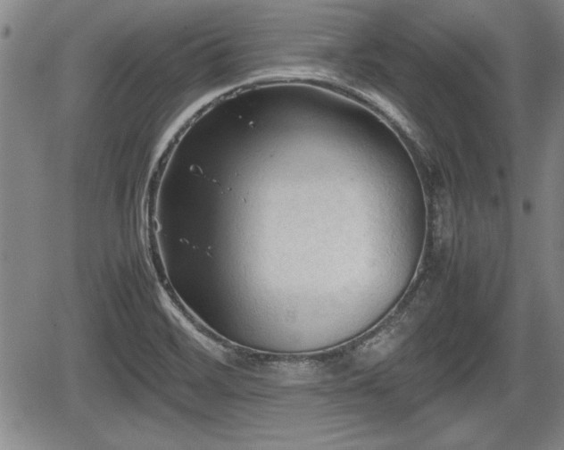 X0000067521468200604101314