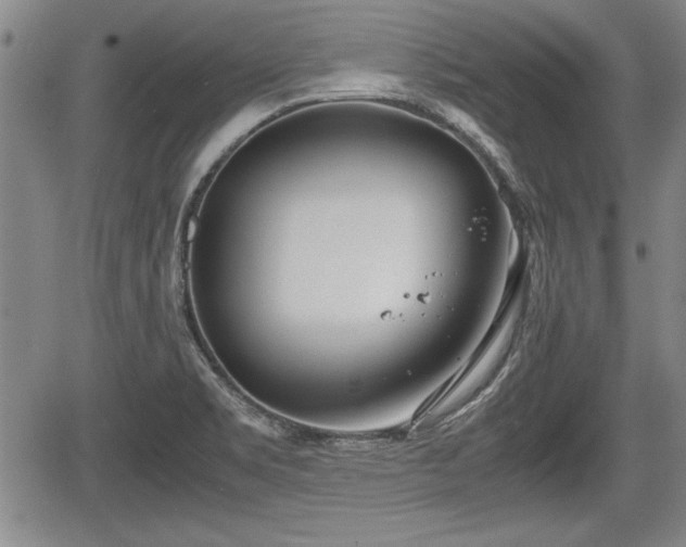 X0000067521469200604101314