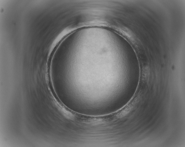 X0000067521470200604101314