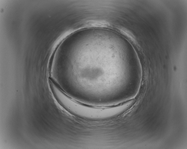 X0000067521471200604101314