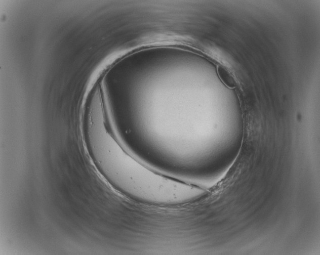 X0000067521472200604101314