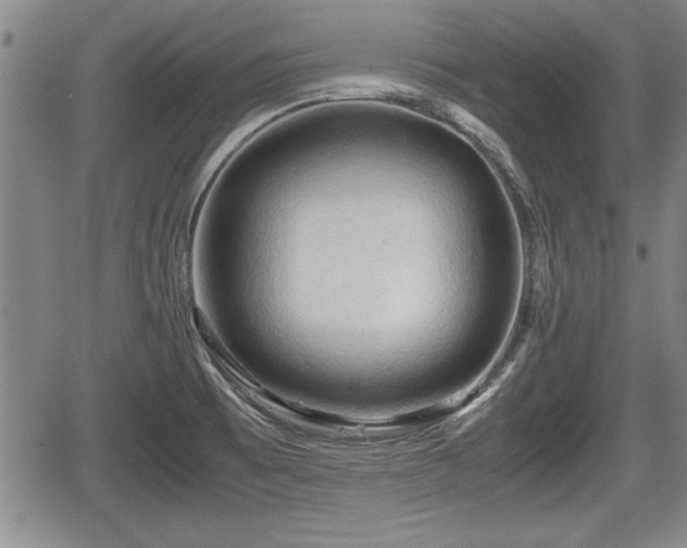 X0000067521473200604101314