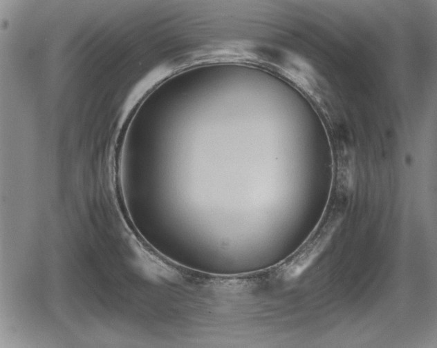 X0000067521474200604101314