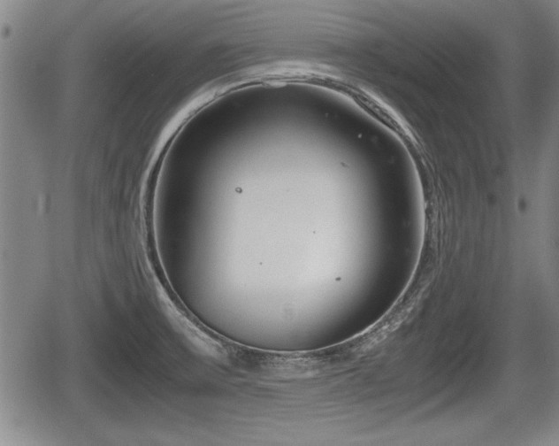 X0000067521475200604101314