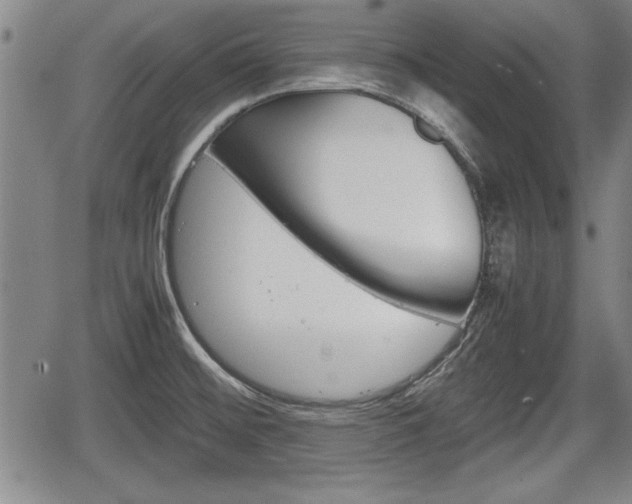 X0000067521476200604101314