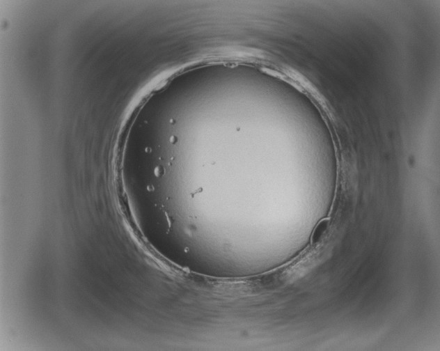 X0000067521477200604101314