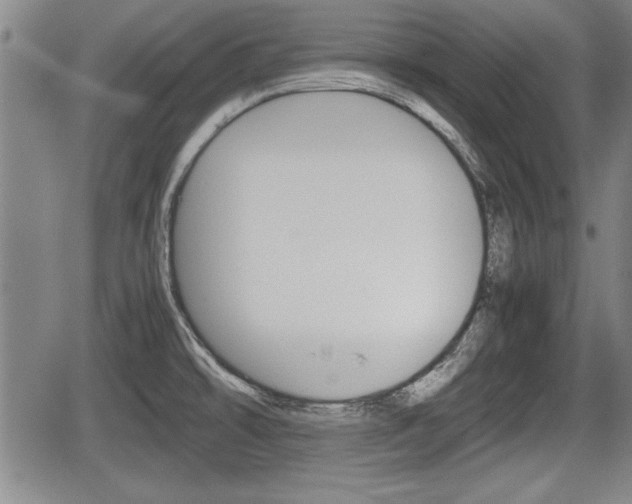 X0000067521478200604101314