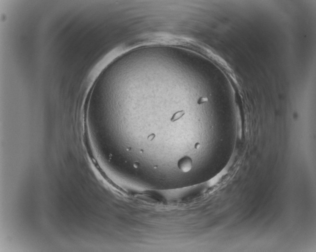 X0000067521479200604101314