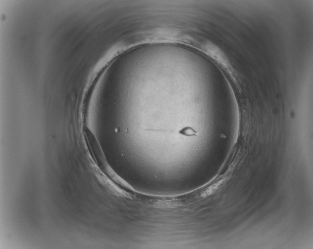 X0000067521480200604101314