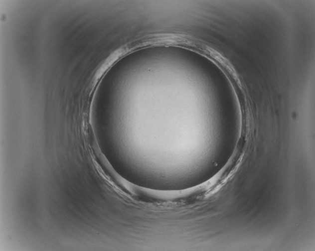 X0000067521481200604101314