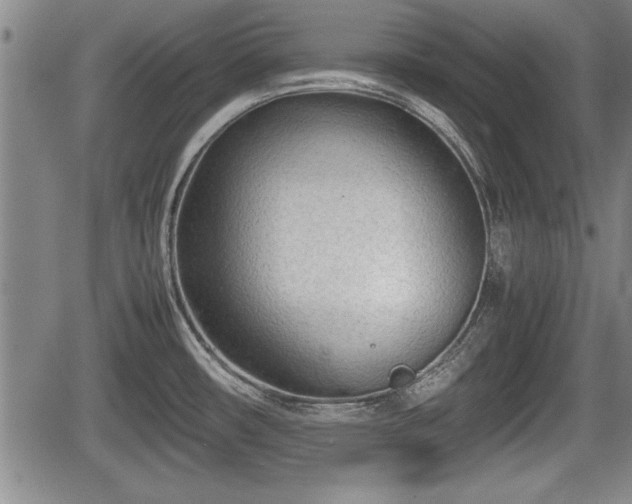 X0000067521482200604101314