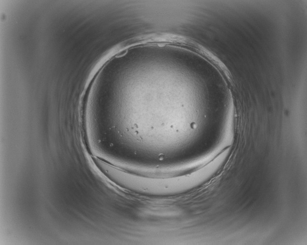 X0000067521483200604101314