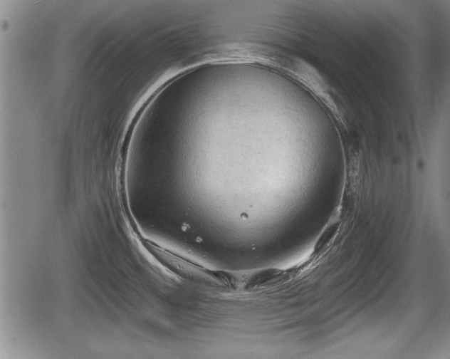 X0000067521484200604101314