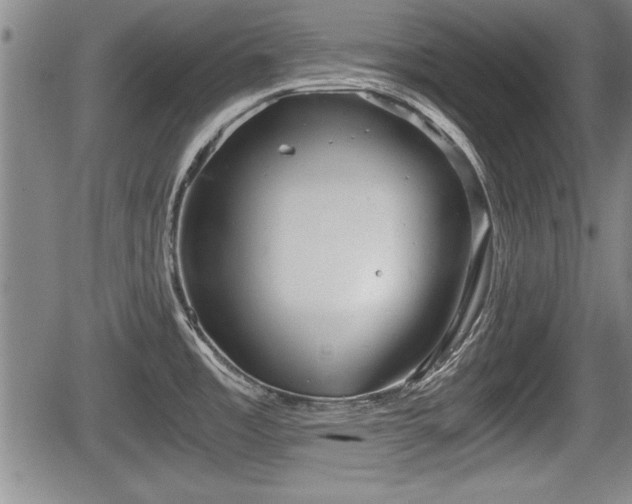 X0000067521485200604101314