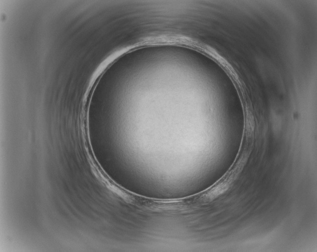 X0000067521486200604101314